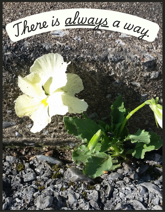 "There Is Always A Way" - Flower Growing Out of Pavement- Inspirational Notebook, Journal, Writing